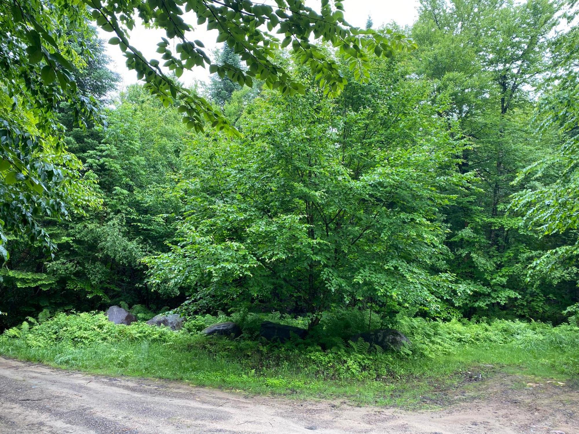 Chalets Et Studios Le Vent Du Nord Lac-Superieur 외부 사진