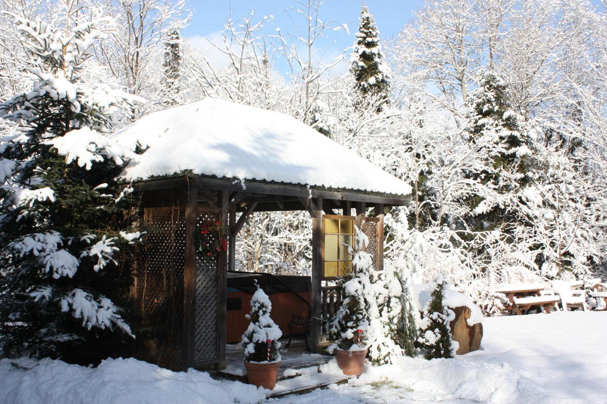 Chalets Et Studios Le Vent Du Nord Lac-Superieur 외부 사진
