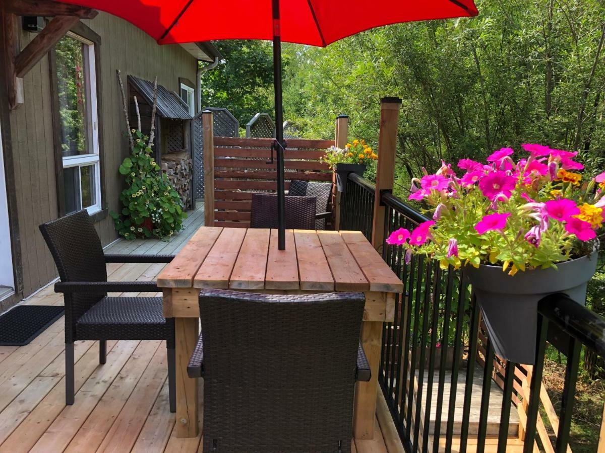 Chalets Et Studios Le Vent Du Nord Lac-Superieur 외부 사진
