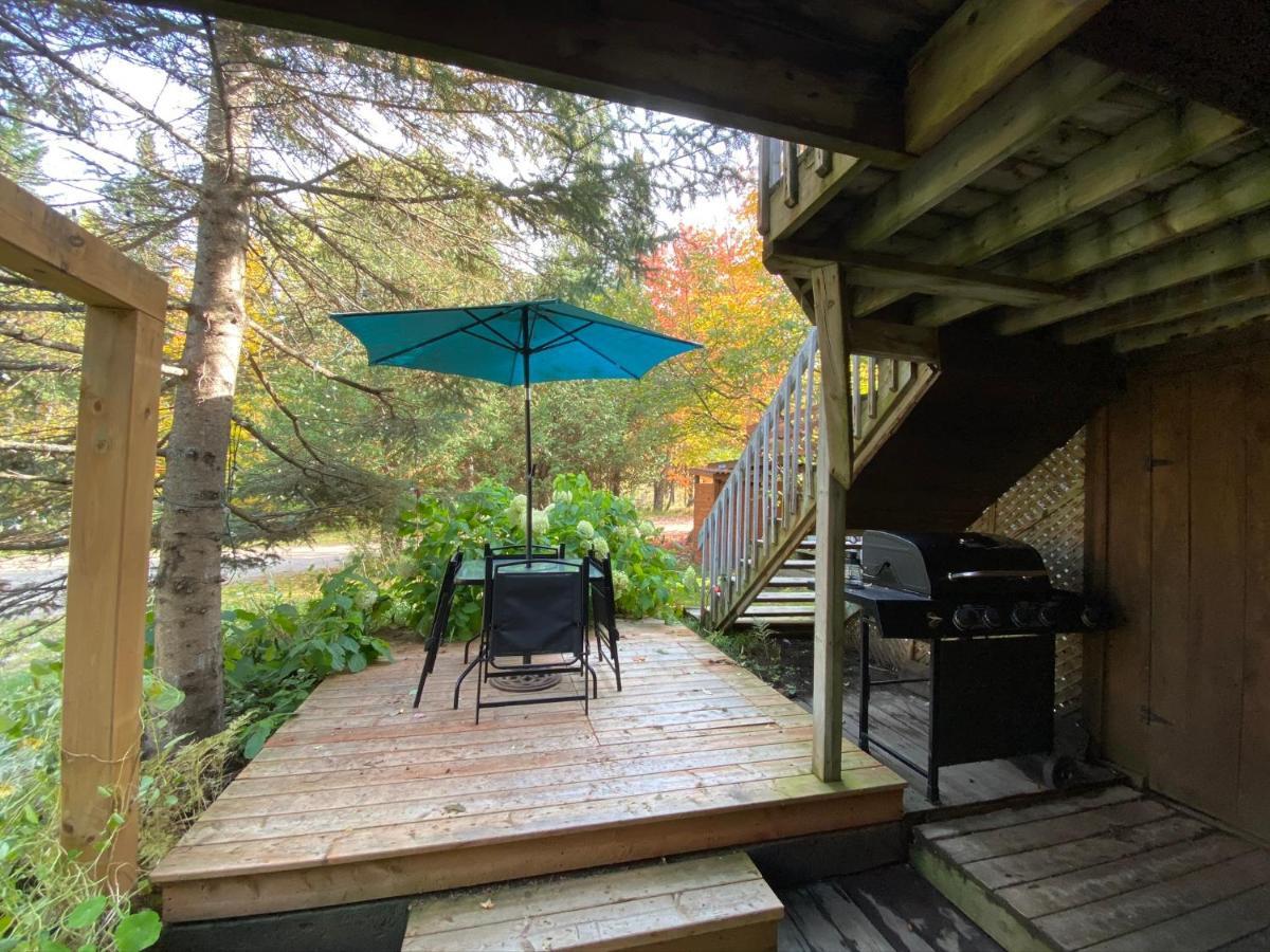 Chalets Et Studios Le Vent Du Nord Lac-Superieur 외부 사진